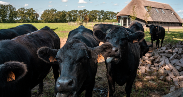 Inspirerende omgeving voor vergaderingen