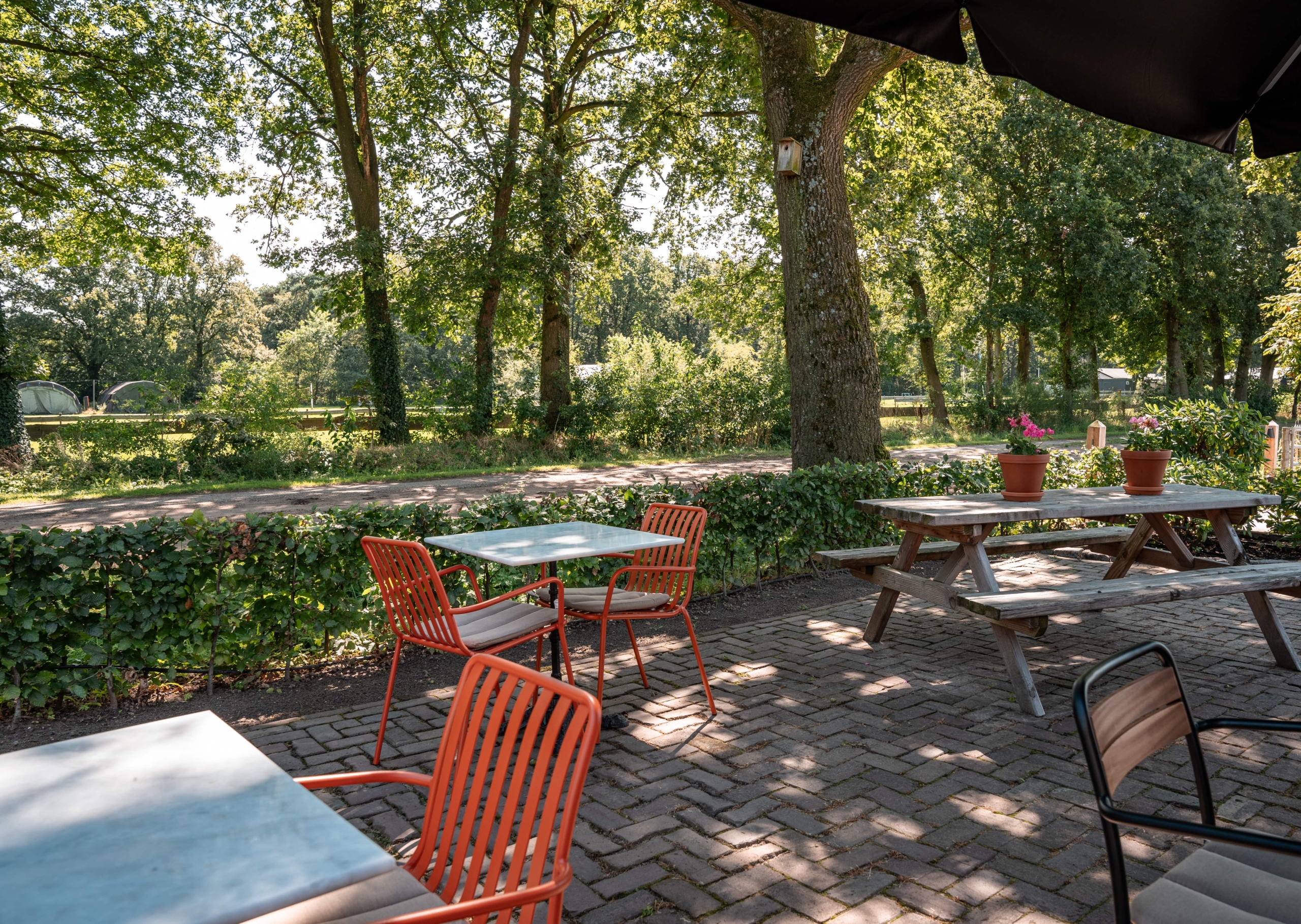 Terras van KOE in Otterlo